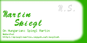 martin spiegl business card